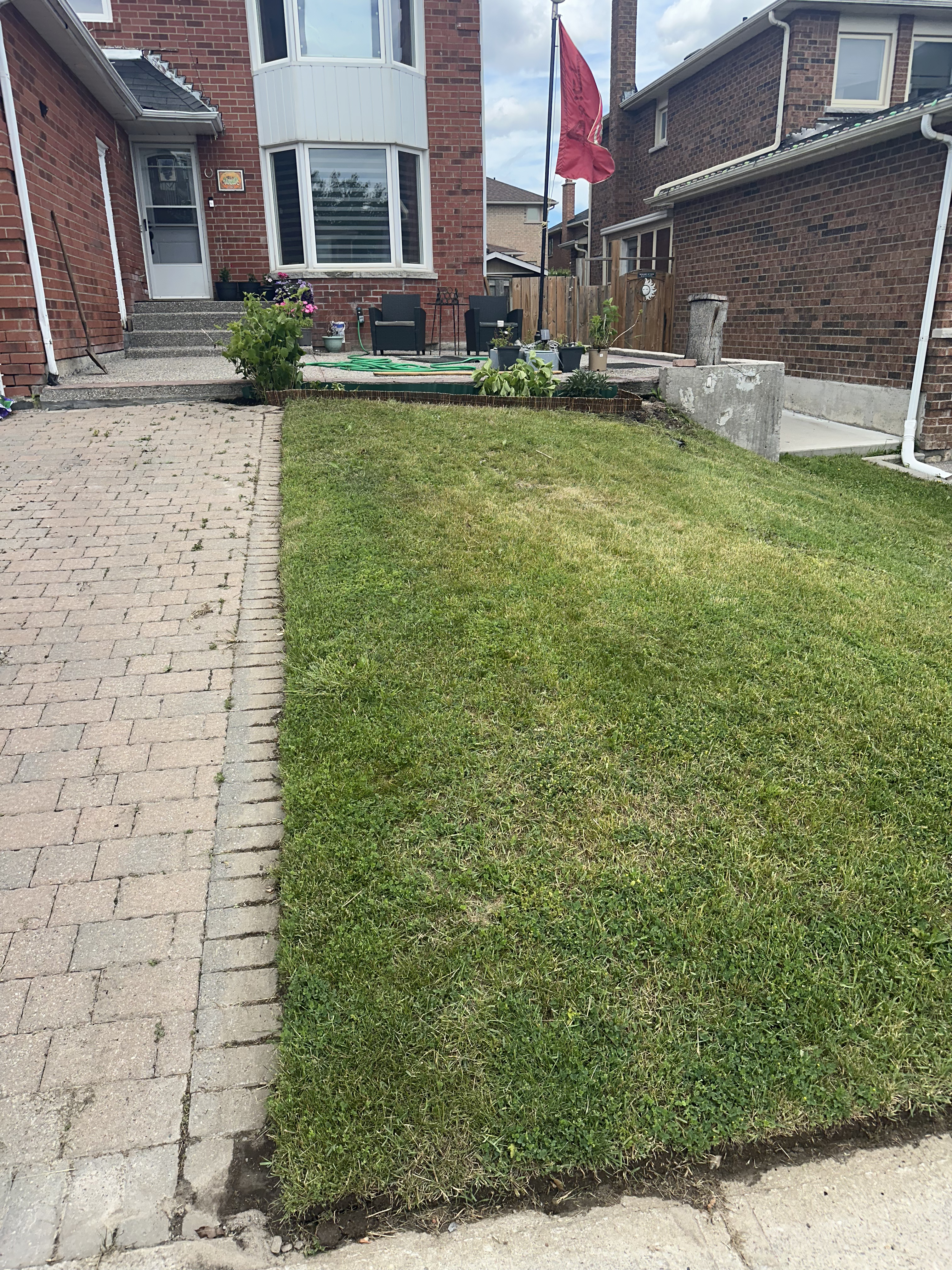Lawn edge and walkway reset after