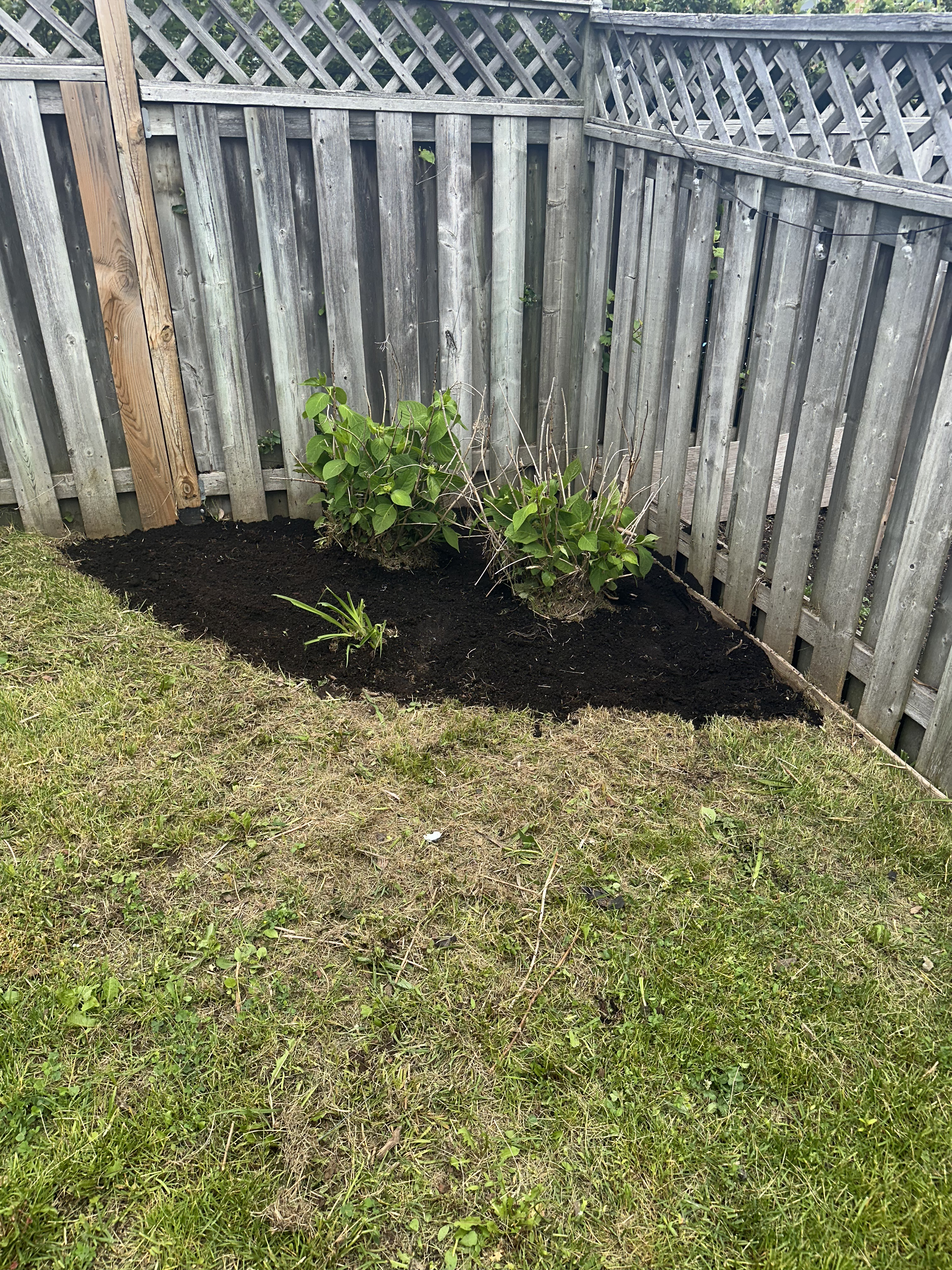 Mulch & Edge Install